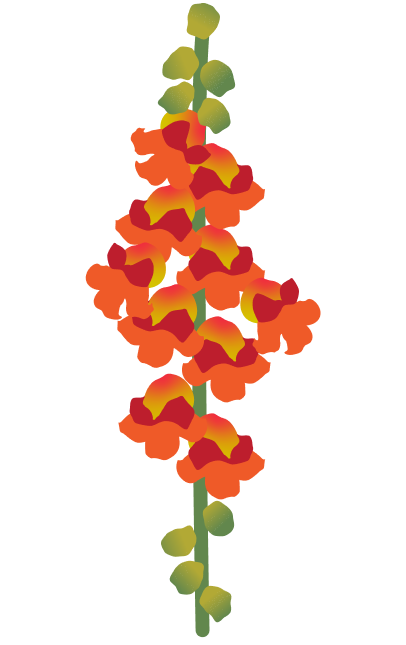 JaneGoodall-Flower Icon-Snapdragon