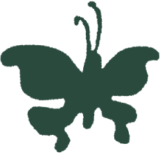 butterfly1